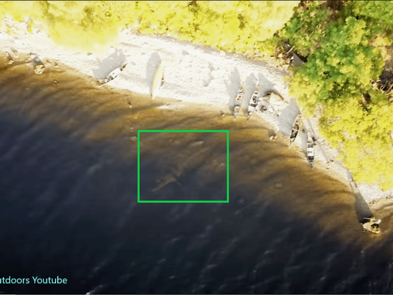 An Outdoorsman Believes He Might Have Spotted the Loch Ness&nbsp;Monster