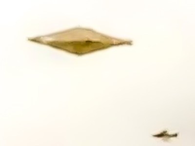 Why are there no Good Pictures of&nbsp;UFOs?