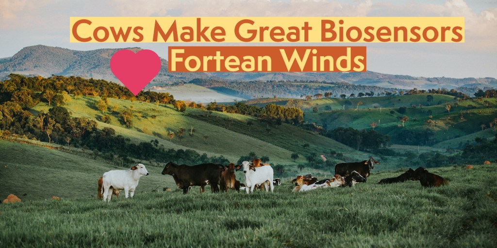 "Cows Make Great Biosensors Love Fortean Winds" cows in an open field